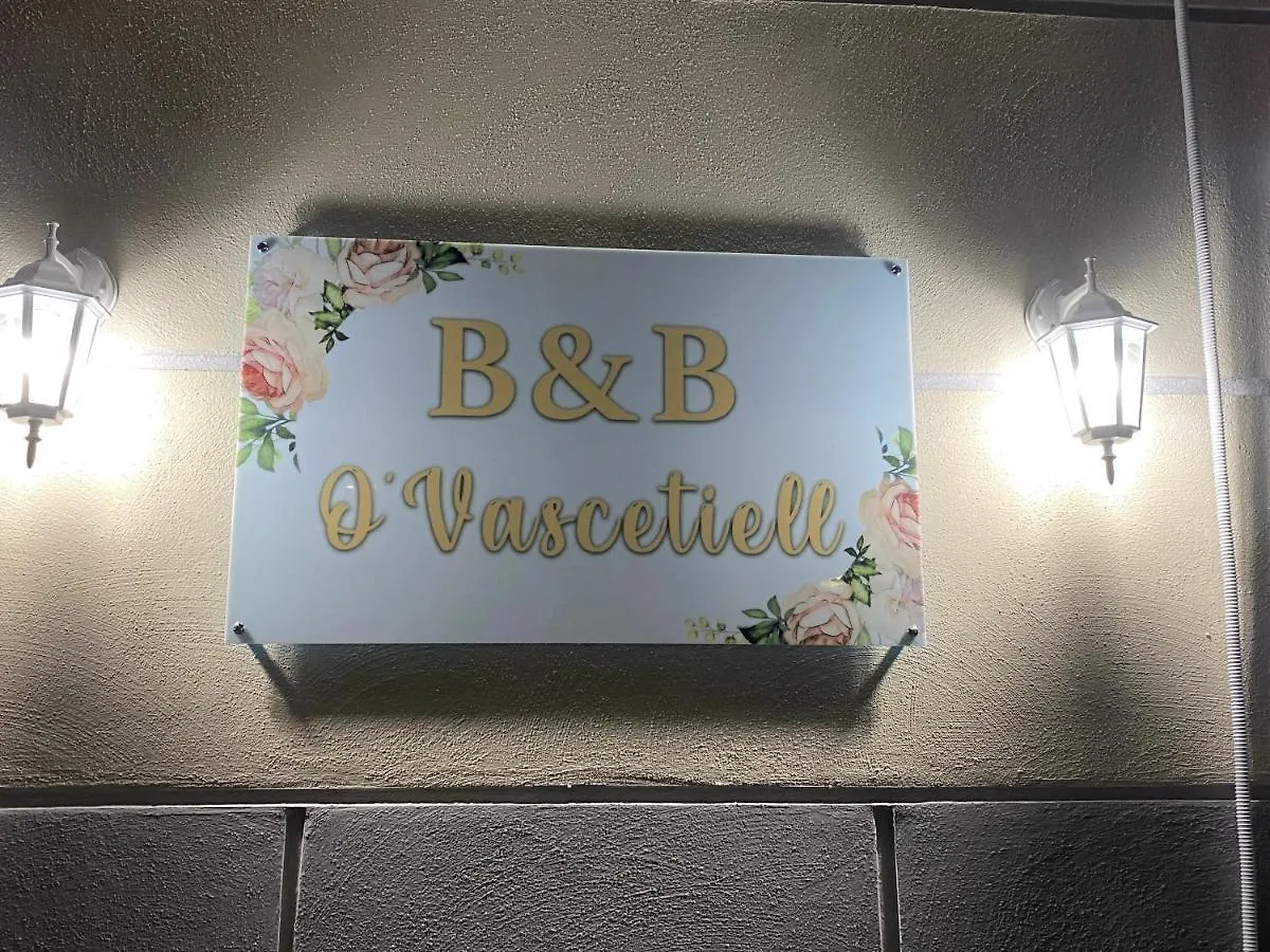 O Vascetiello Apartment Naples Italy